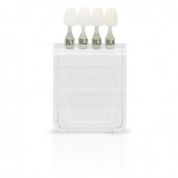 A-D Shade Guide, Ivoclar Bleach