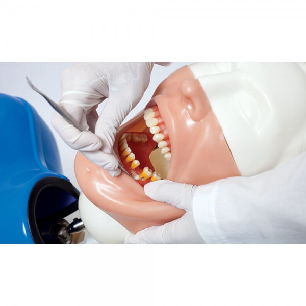 Bob Phantom Head Simulator