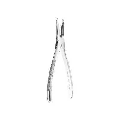 Extracting Forceps N. 41