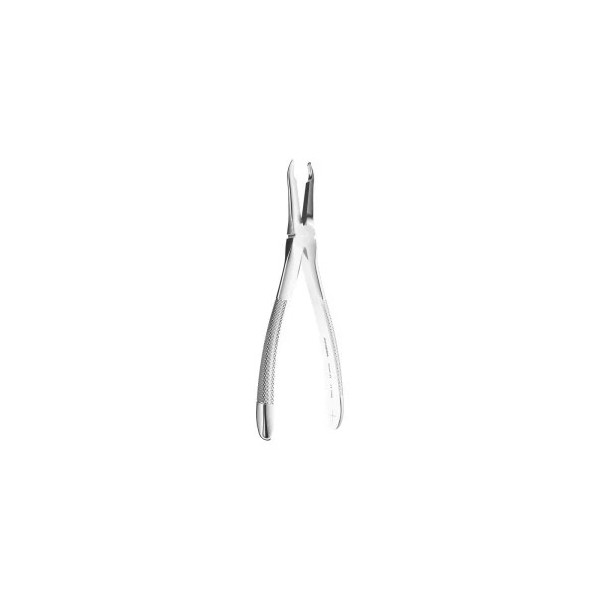 Extracting Forceps N. 41