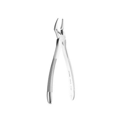 Extracting Forceps N. 52