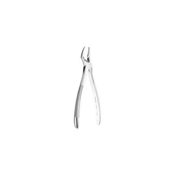 Extracting Forceps N. 52