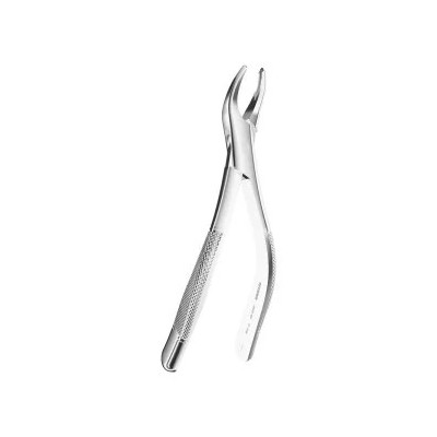 Extracting Forceps American P.Tomaes N.69