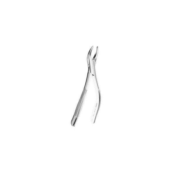 Extracting Forceps American P.Tomaes N.69