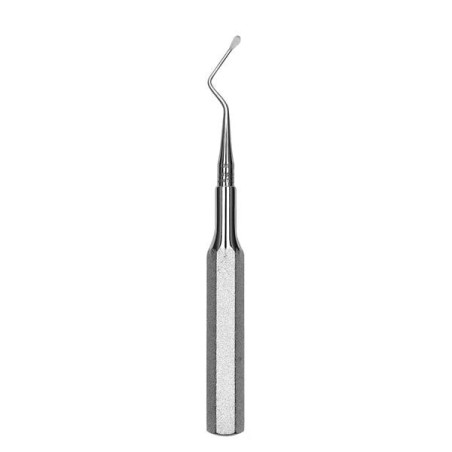 Curette Molt Single End Size 5L Immunity Steel Ea