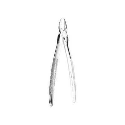 Extracting Forceps N. 29N