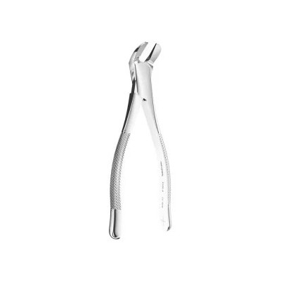 Extracting Forceps American N. 6 for Tooth Separation