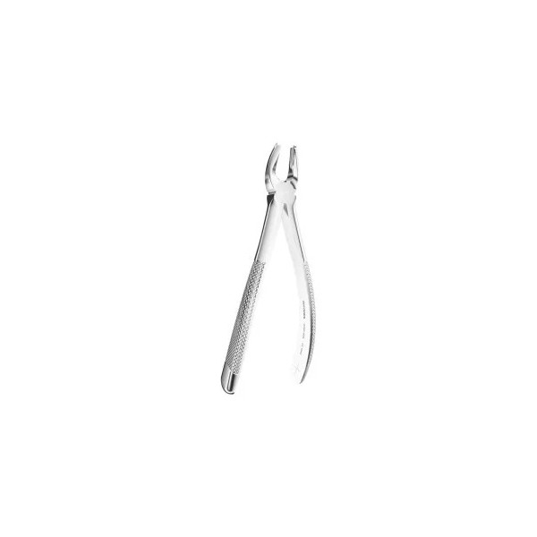 Extracting Forceps N. 65L