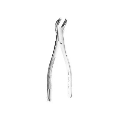 Extracting Forceps American Pattern N.17