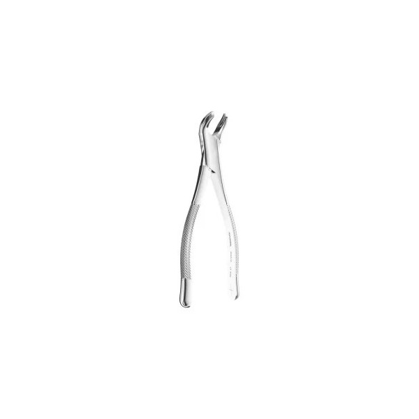 Extracting Forceps American Pattern N.17