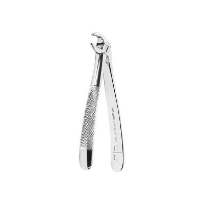 Extracting Forceps N. 33