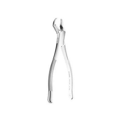 Extracting Forceps American pattern N. 10S