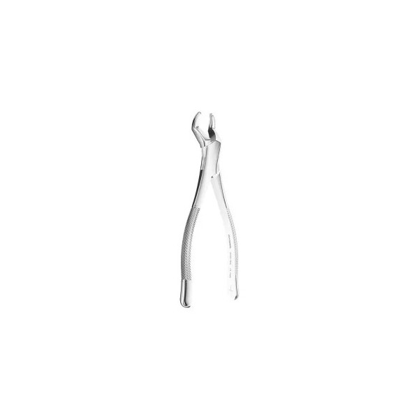 Extracting Forceps American pattern N. 10S