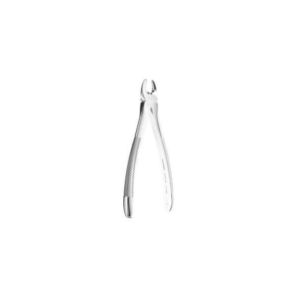 Extracting Forceps N. 107