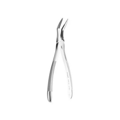 Extracting Forceps N. 145