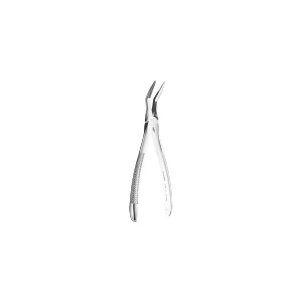 Extracting Forceps N. 145