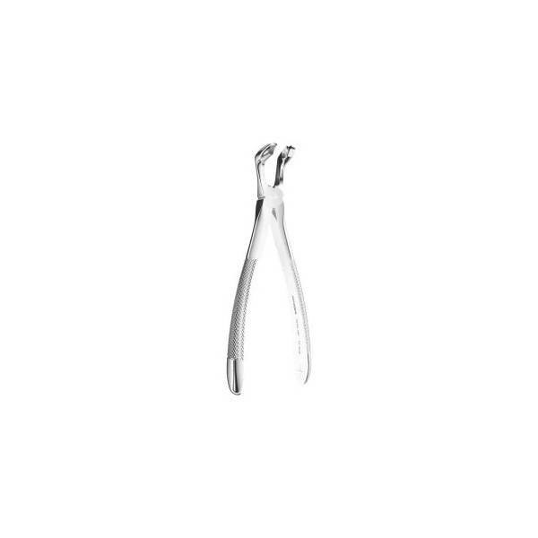 Extracting Forceps N. 79C