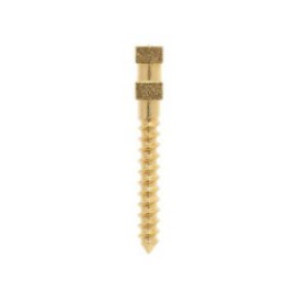 Compo-Post Screw Posts Gold Plated Long L3 12/Bx