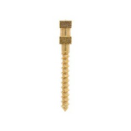 Compo-Post Screw Posts Gold Plated Long L2 12/Bx