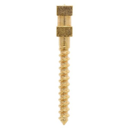 Compo-Post Screw Posts Gold Plated Long L2 12/Bx