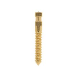 Compo-Post Screw Posts Gold Plated Long L6 12/Bx