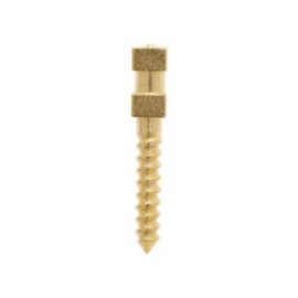 Compo-Post Screw Posts Gold Plated Medium M2 12/Bx