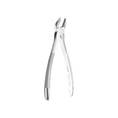 Extracting Forceps N. 21