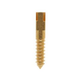 Screw Posts Gold Plated Medium 12/Bx