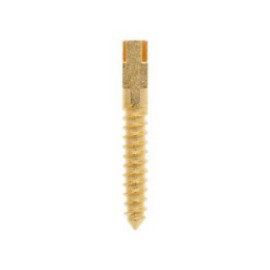 Screw Posts Gold Plated Long 12/Bx