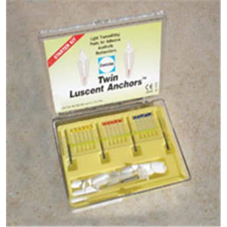 Twin Luscent Fiber Posts Starter Kit Ea