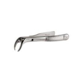 Extracting Forceps Size 23 Ea