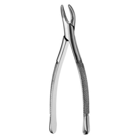 Extracting Forceps Size 101 Upr & Lwr Premols & Decds Univ Hull Ea