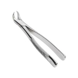 Extracting Forceps Size 23 Cow Horn Ea