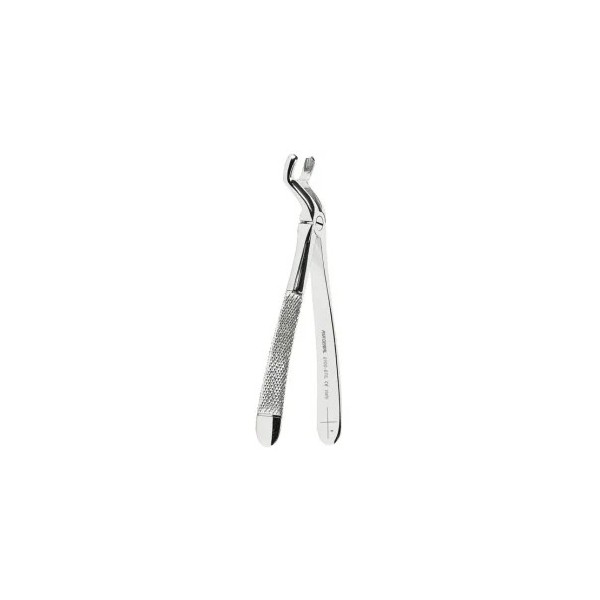 Extracting Forceps N. 67 1/2 L