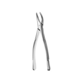 Atlas Extracting Forceps Tomes Ea