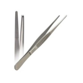 Tissue Forceps 7.75 in Ea