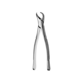 Extracting Forceps Size 23 1st And 2nd Lower Molars Ea