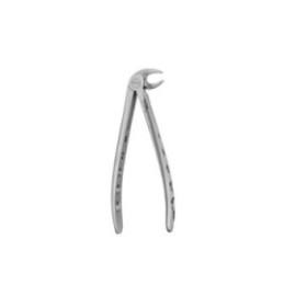 Extracting Forceps Size 13 Lower Premolars Ea