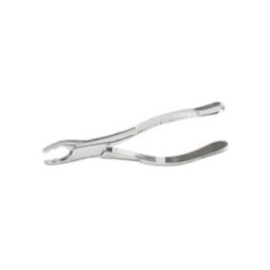 Extracting Forceps Size 151AS Ea