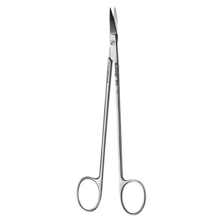 Curved Scissor 7 in Kelly Ea