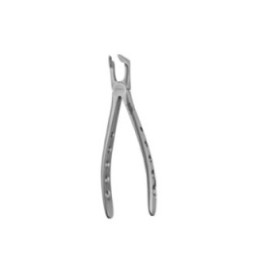 Extracting Forceps Size 79 Lower Molars Ea