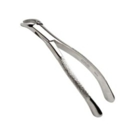 Extracting Forceps Size 151 Adult Ea