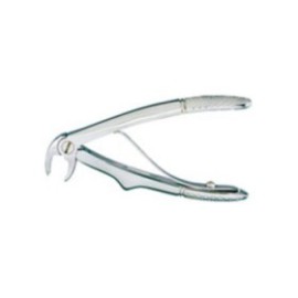 Extracting Forceps Size C Universal Pedo Ea