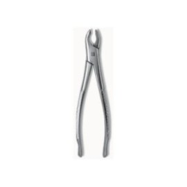 Extracting Forceps Size 150A Adult Ea