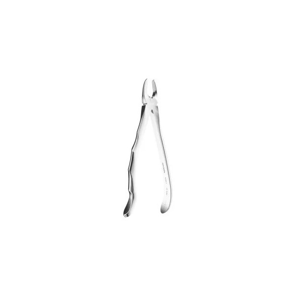 Extracting Forceps N. 1 Anatomic Handle