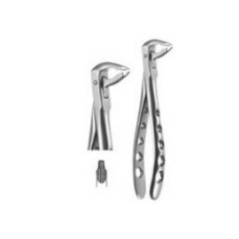 X-TRAC Extracting Forceps Size 3600N Notched Lower Anterior Ea