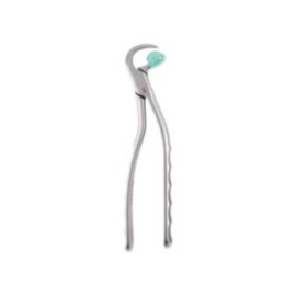 Physics Extracting Forceps Size GMX100 Upper Anterior Adult Ea