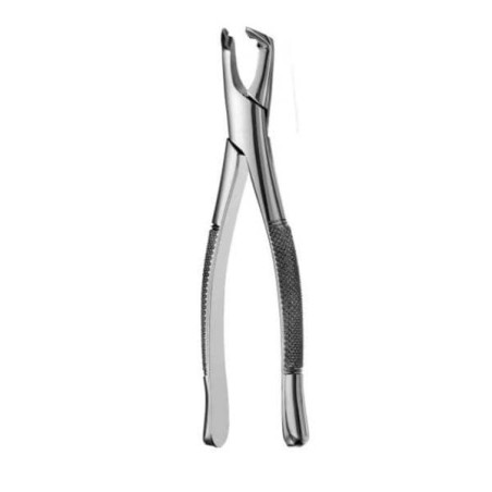 Extracting Forceps Apical Lower Molars Ea