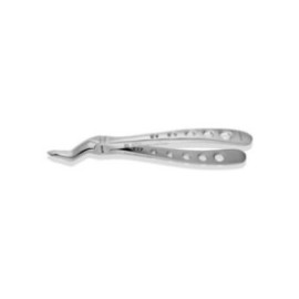 Extracting Forceps Adult Ea