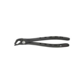 Extracting Forceps Lower Universal Adult Ea